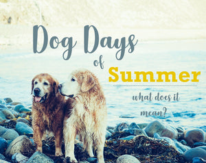 Dog Days of Summer...What Does it Mean?