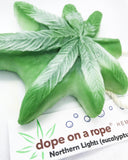 TEN Assorted Dope on a Rope Soap Pack