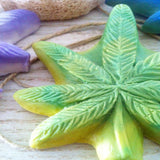 BEST SELLER - Dope on a Rope Hemp Soap Starter Kit